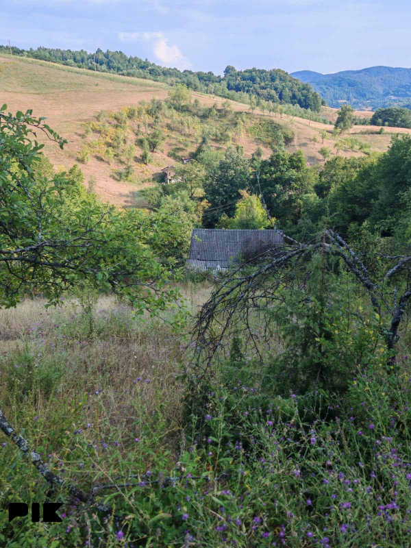 Zemljiste Zeleni Vir 3800m2 18