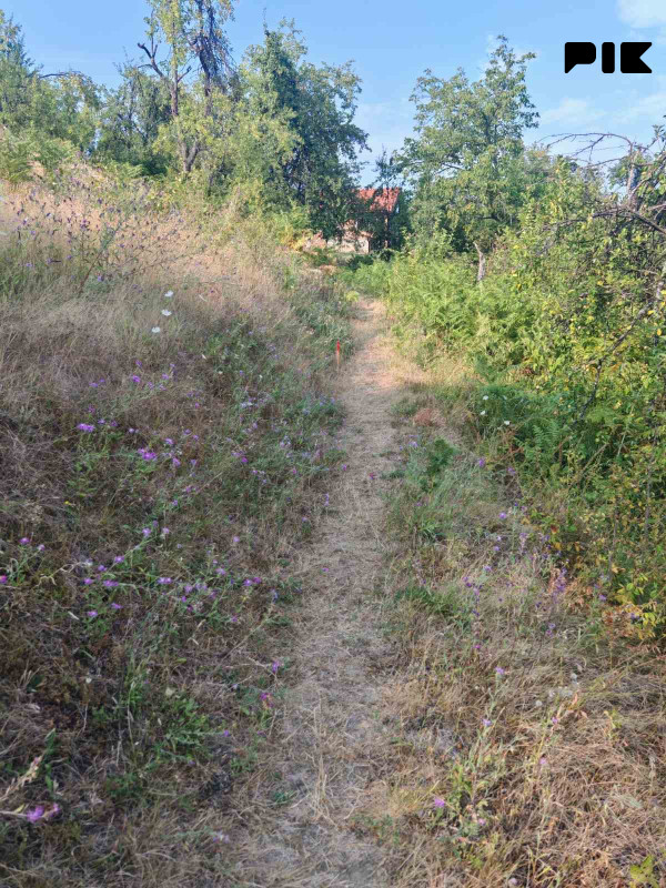 Zemljiste Zeleni Vir 3800m2 21
