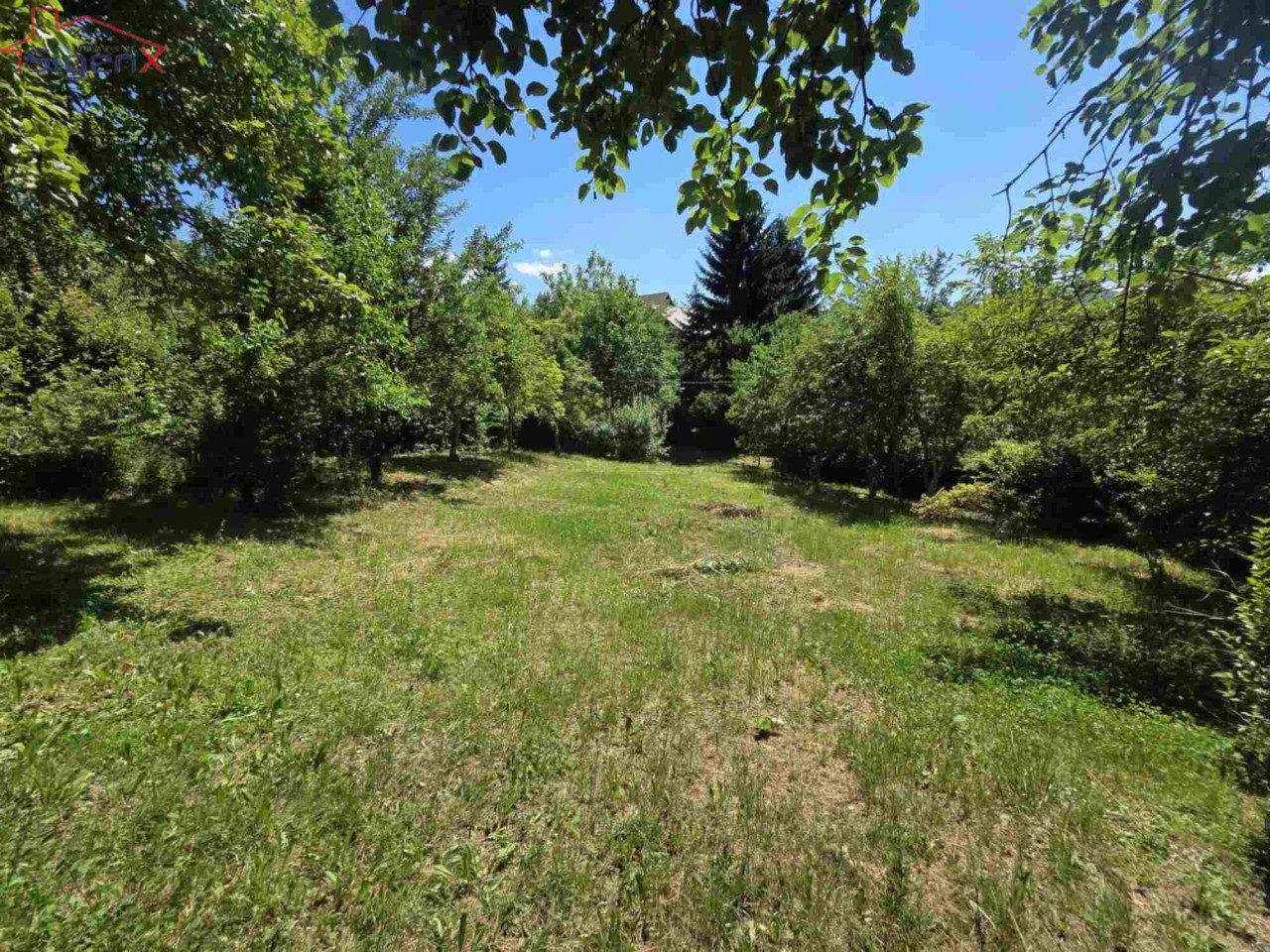 Rakovica/ Vikendica - Kuća/ Useljivo - Uknjižen objekat - 1100m2 photo 4
