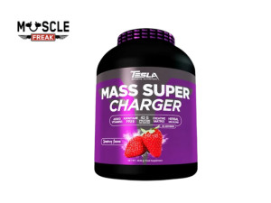 Tesla Mass Super Charger 4.5kg