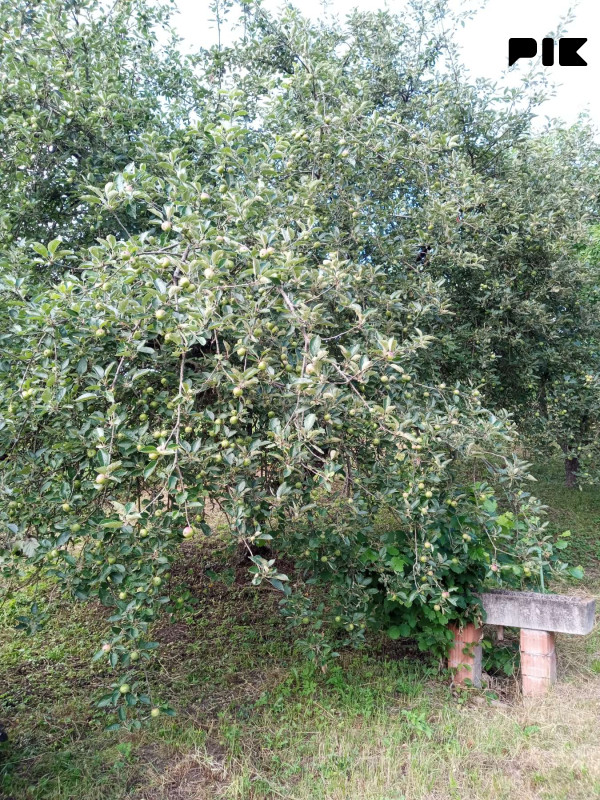 Kuća Novi Grad 60m2 2