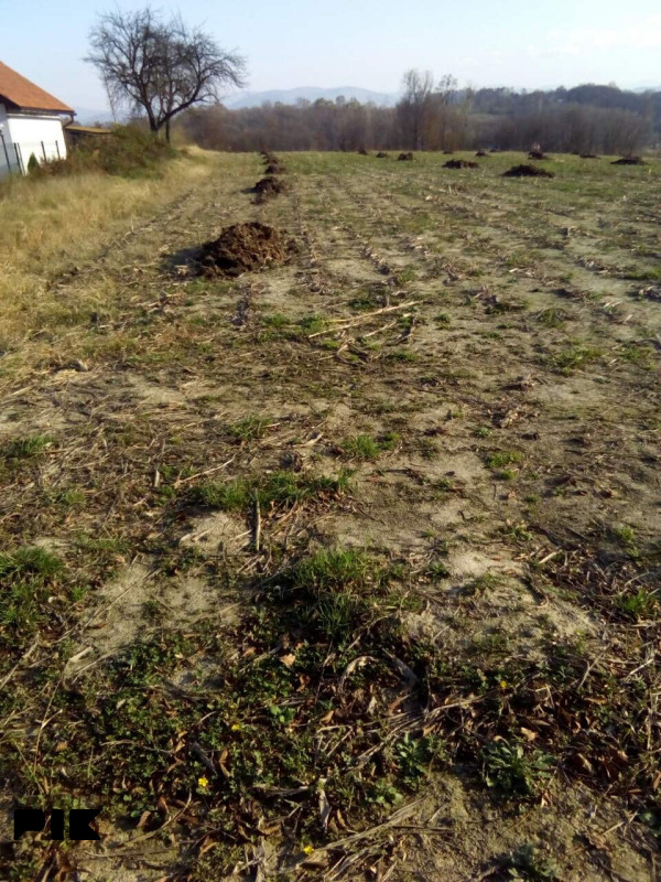 Zemljište Živinice 5