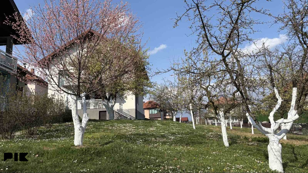 Dvije kuće, Cerik, Tuzla 6