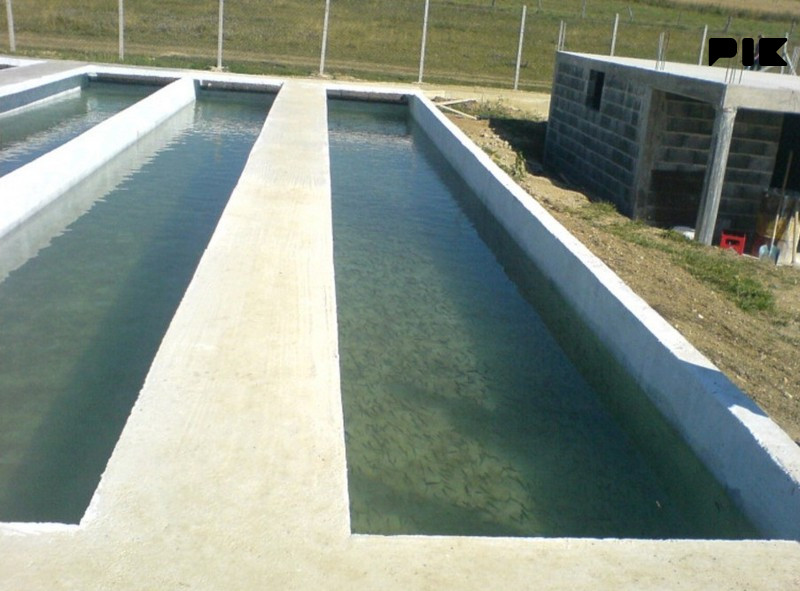 PRODAJA RIBNJAKA MRKONJIĆ GRAD KAPACITET cca 30 TONA RIBE 4