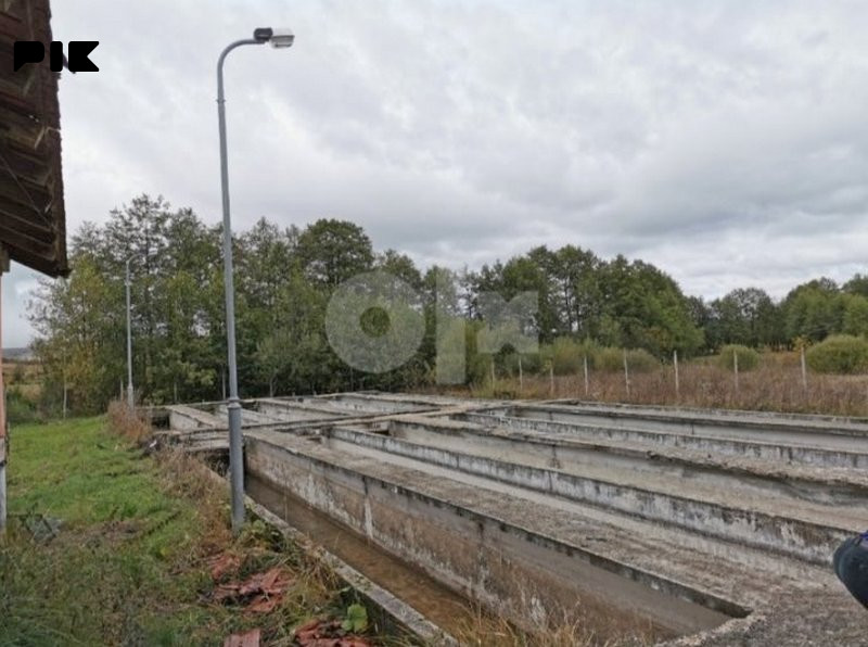 PRODAJA RIBNJAKA MRKONJIĆ GRAD KAPACITET cca 30 TONA RIBE 2