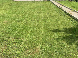 KUĆA Sarajevo - Ilidža - Krupac/Jasen 155m2 + 2400 m2 ZEMLJIŠTA photo 3