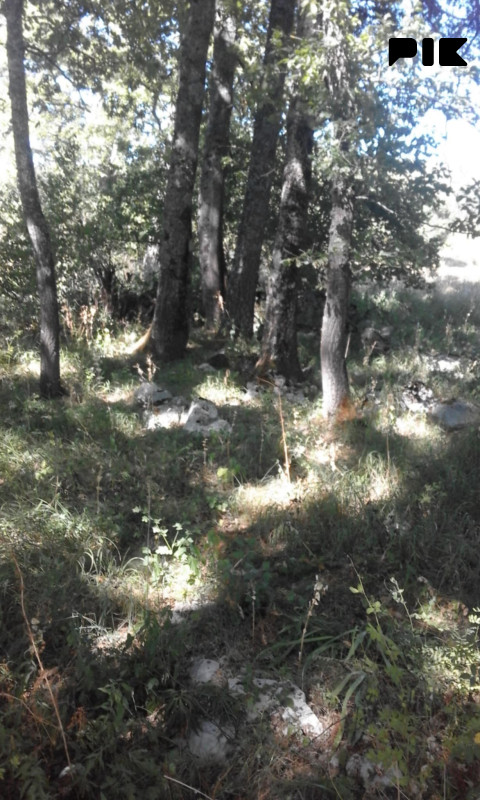 Zemljište Bosanski Petrovac 77777m2 2