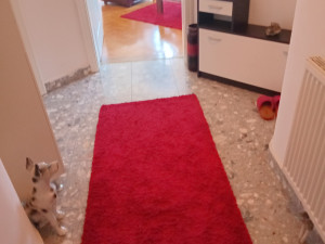 PRODAJA - DVOSOBAN STAN 46 m2 - STROGI CENTAR BIJELJINE photo 2