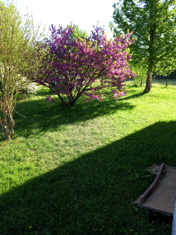 Kuća Sanski Most 100m2 8
