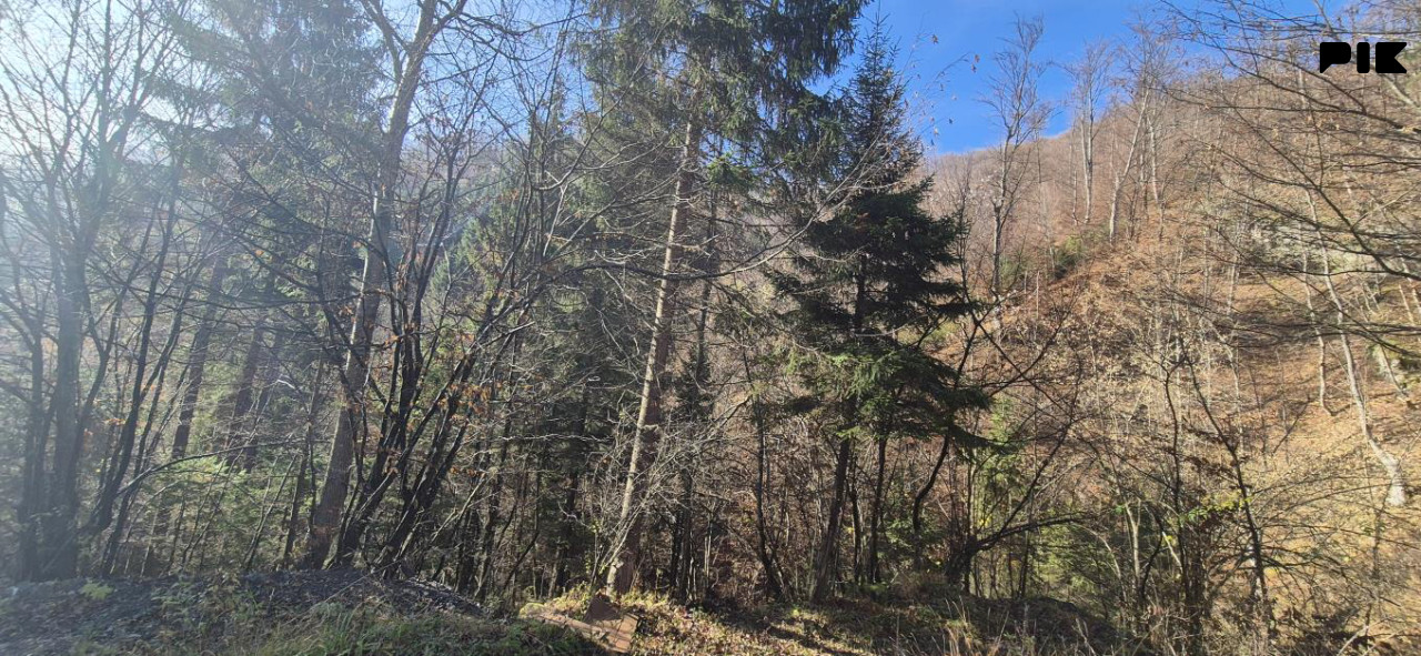 Zamljsite za solare ili vikend naselje - Dubovo brdo - Kakanj 4