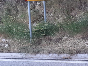 Kuća na moru. Hrvatska. Gradac. photo 5