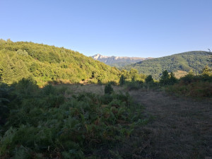 Zemljište, 4200 m², Hadžići