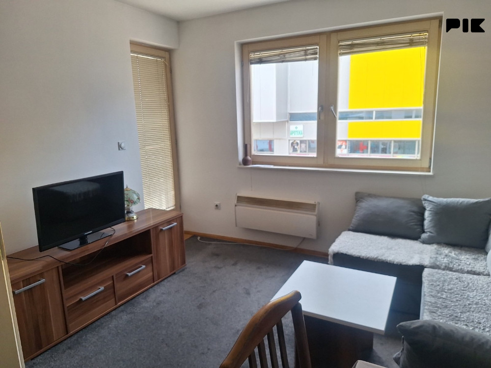 Izdavanje na duži vremenski period Jednosoban Stan/apartman Pale 3