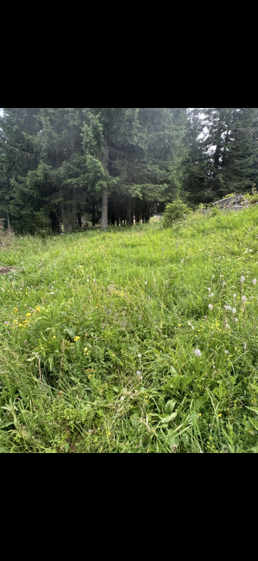 Zemljište Jahorina, Velika Dvorista 4