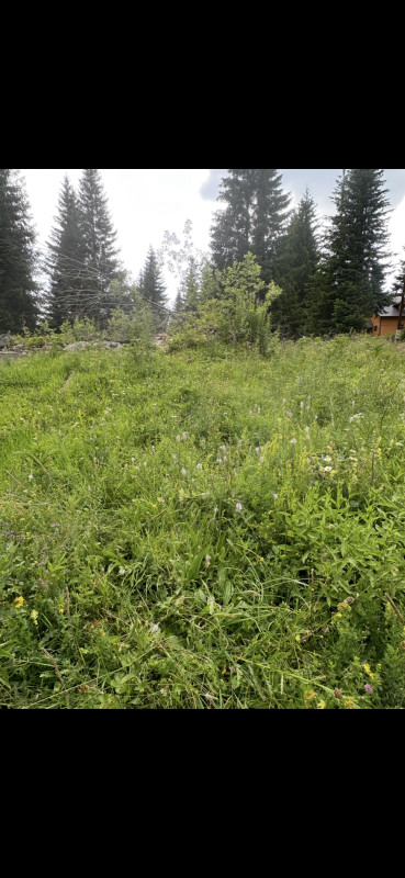 Zemljište Jahorina, Velika Dvorista 5