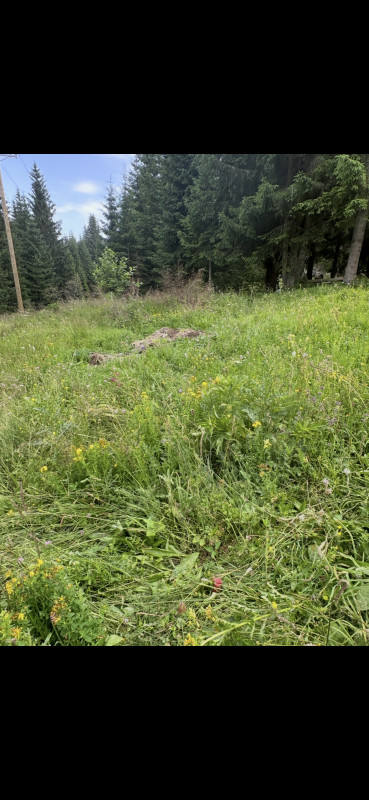Zemljište Jahorina, Velika Dvorista 6