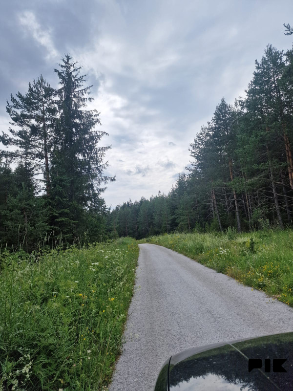 [ Šumsko zemljište Han Pijesak ] voda, struja, put, 32000m2