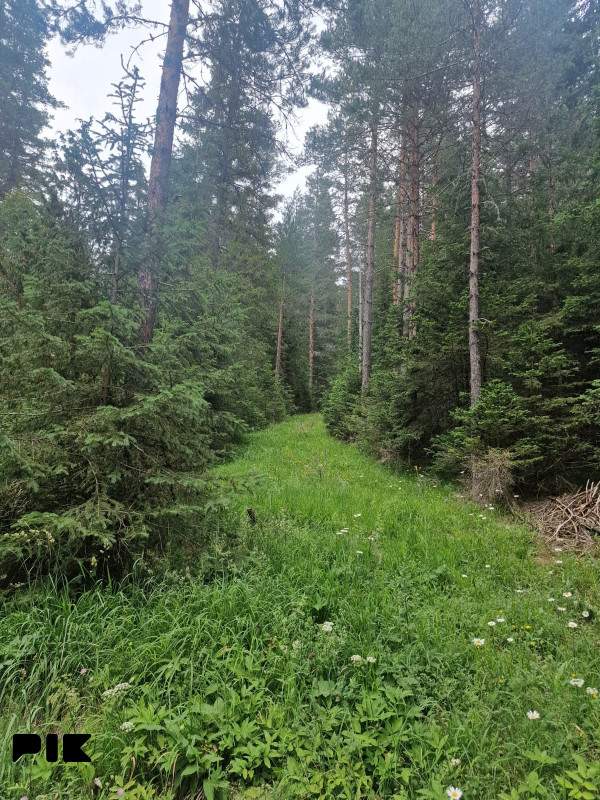 [ Šumsko zemljište Han Pijesak ] voda, struja, put, 32000m2 7