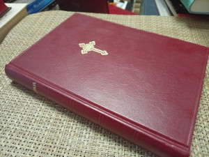 Biblija, Sveto pismo, Daničić, Karadži