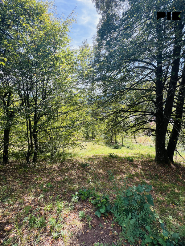 Zemljište Ljubogošta, Pale 879m2 4