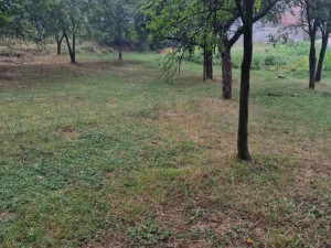 House Vitez photo 4