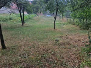 House Vitez photo 5