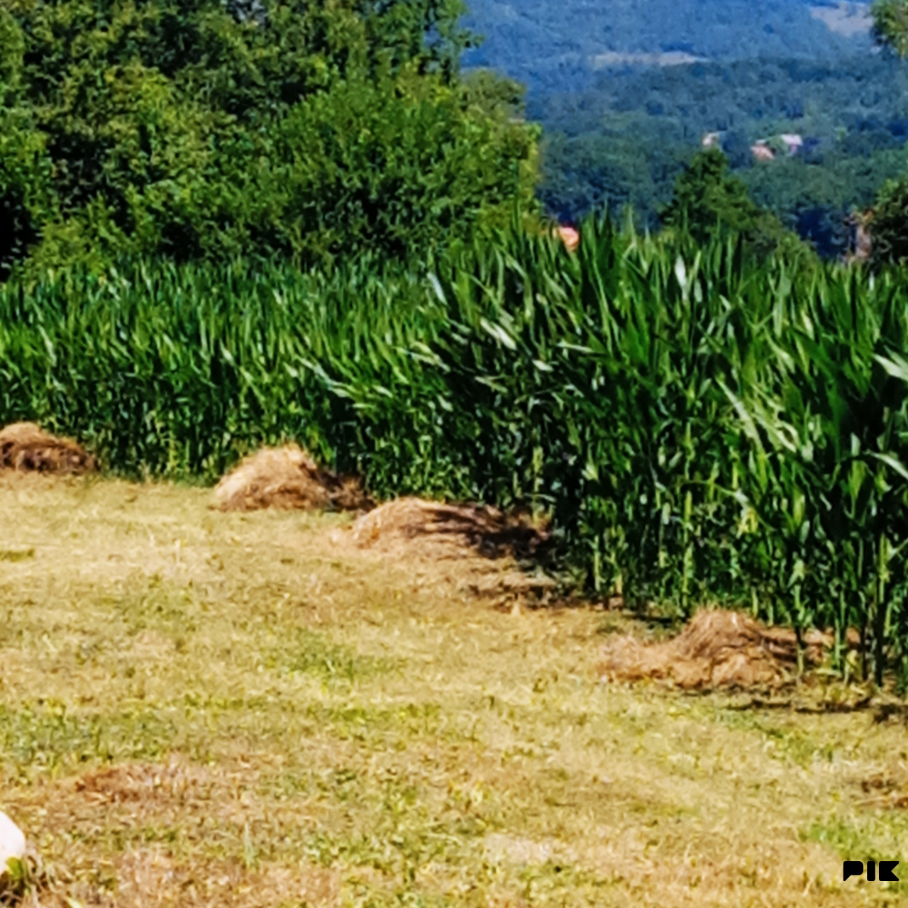 Zemljište Vitez 7500m2 2