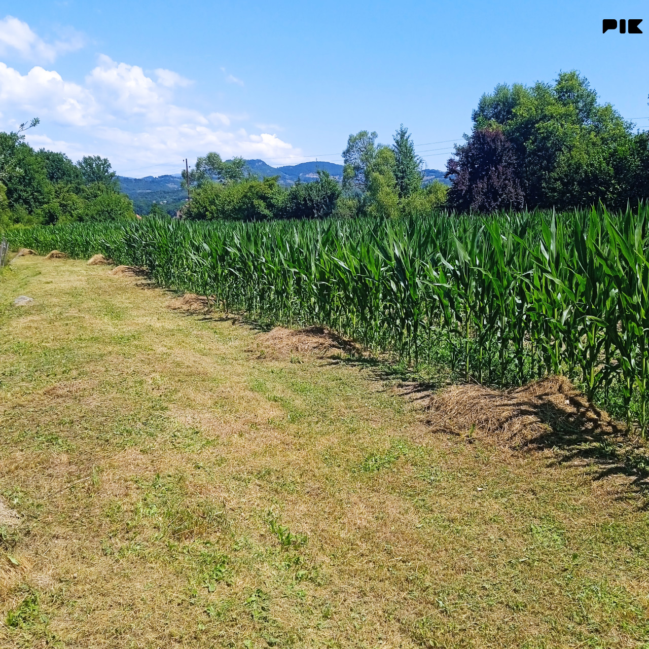 Zemljište Vitez 7500m2 4