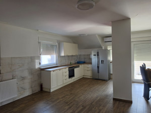 House for rent on Petrićevac, 360m2 photo 5