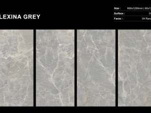 PLOČICA ALEXINA GREY GLOSSY 60X120 2,16/PAK C260262