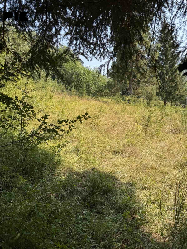 Zemljište Trnovo RS 6
