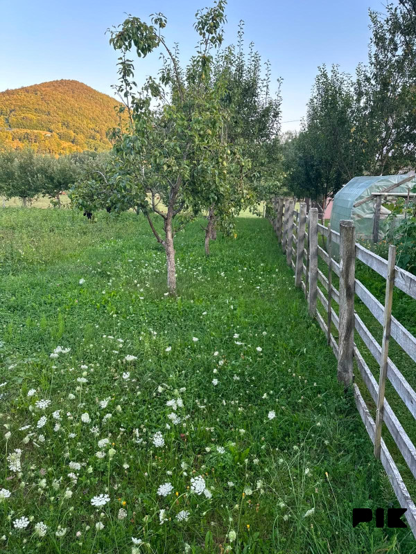Kuća sa 1864m2 zemljišta - Hrenovica Općina Prača 9