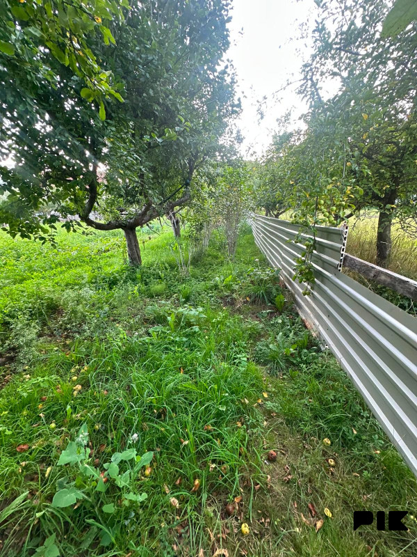 Kuća sa 1864m2 zemljišta - Hrenovica Općina Prača 13