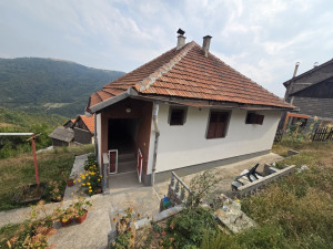 House Zenica