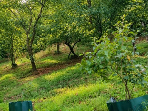 HOUSE FOR SALE - JEZERO MODRAC photo 5