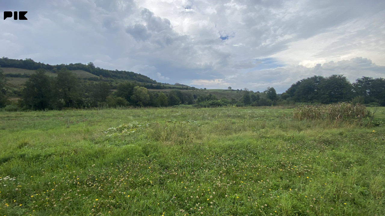 Zemljište 12000m2 - Moštre - Visoko 7