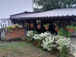 Kuća Novi Grad photo 1