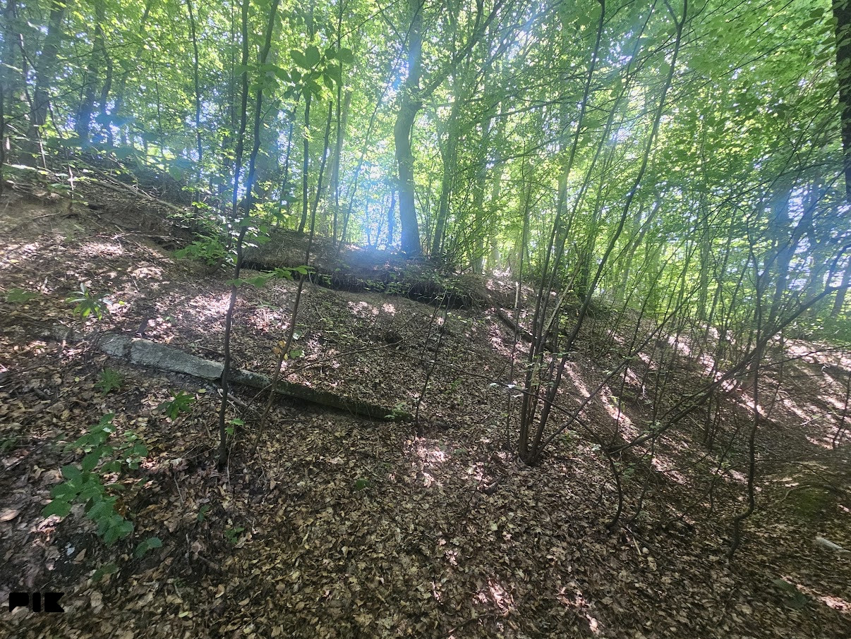 Vikendica sa zemljištem / Kobiljača 6