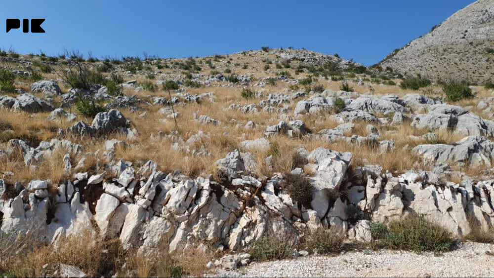 Biro HM/Zemljište Ravno Trebinje, u blizini Dubrovnika 2