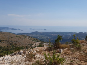 Zemljište, 1228 m², Trebinje