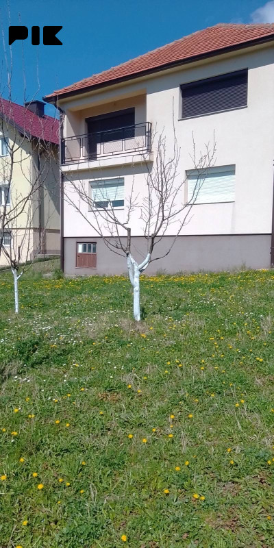 Kuća Tuzla Slavinovići (Ulica Bajer 20) 4