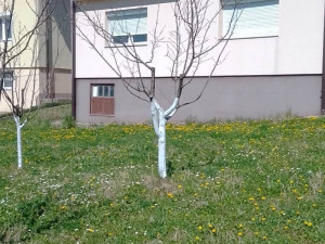 Kuća Tuzla Slavinovići (Ulica Bajer 20) photo 4