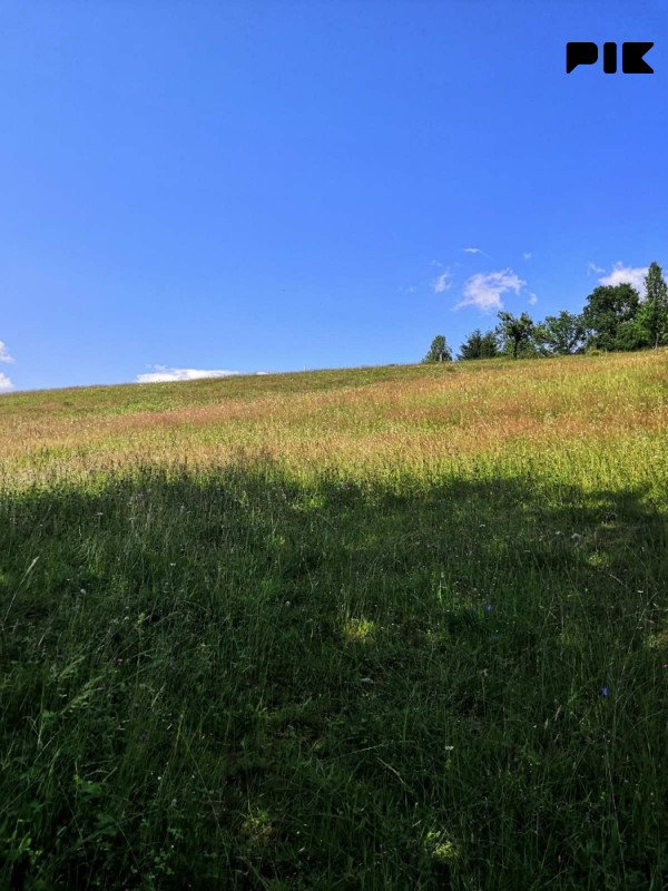 Zemljište Trnovo-CIJENA PO DOGOVORU