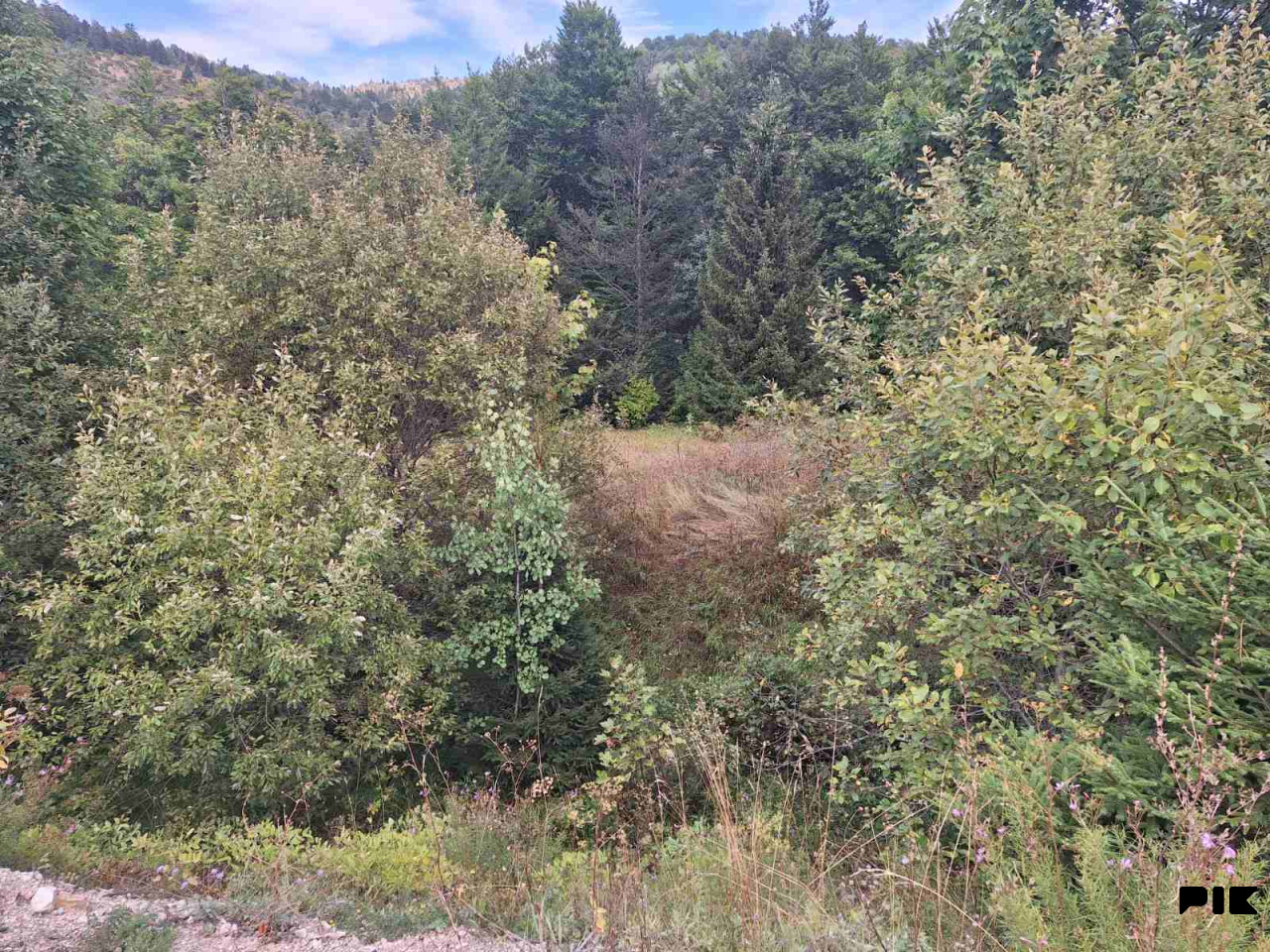 Zemljišta Trnovo,Gornja Grkarica 2