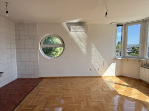 Stan sa ogromnim potencijalom 50 m2 kod Parka M.STOJANOVIĆ photo 2