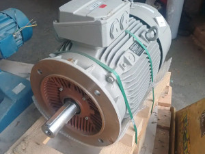 ELEKTRO MOTOR 21.5kW 2955obrt.