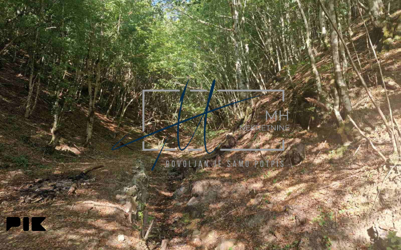 Prača | Zemljište 4.365m2 | Općina Prača 9