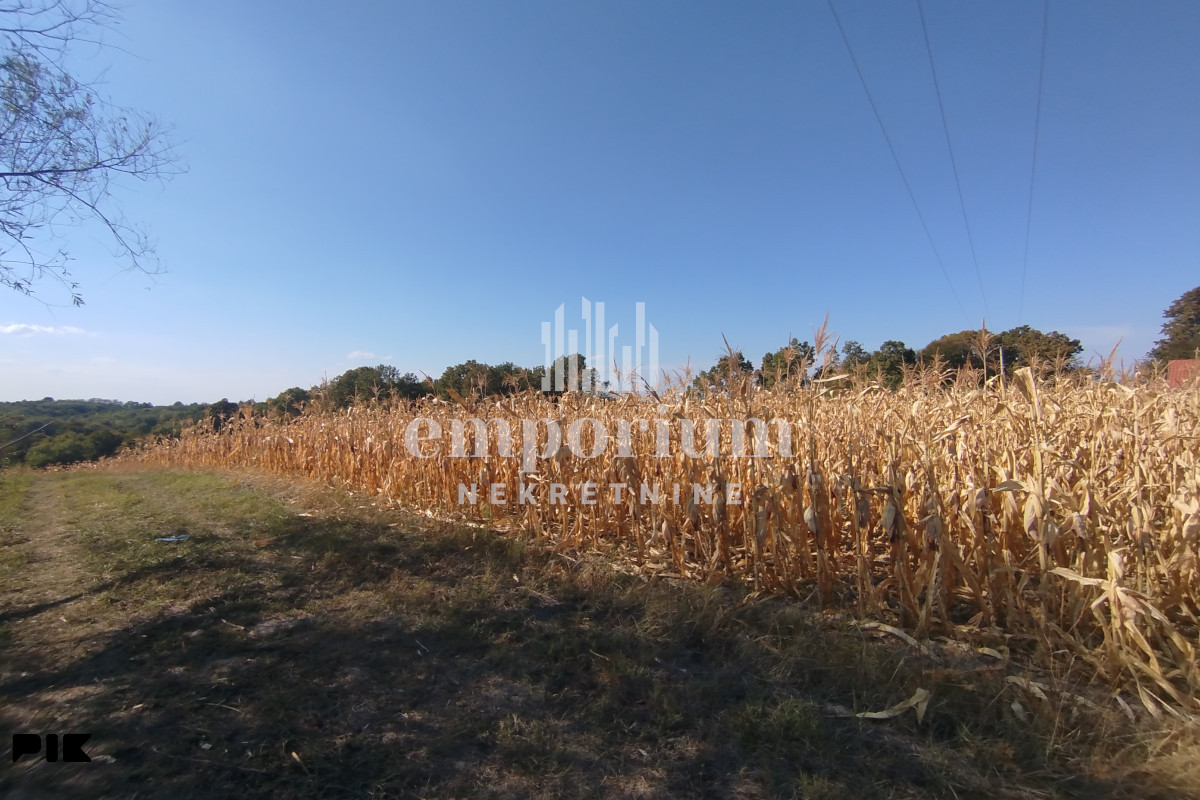 Građevinska parcela 18.082m uz glavni put ID:2646/EN 3