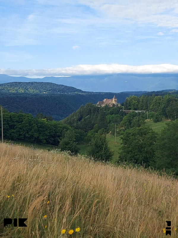 Zemljišta Cazin 8000m2