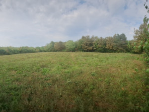 Zemljište, 4768 m², Tuzla